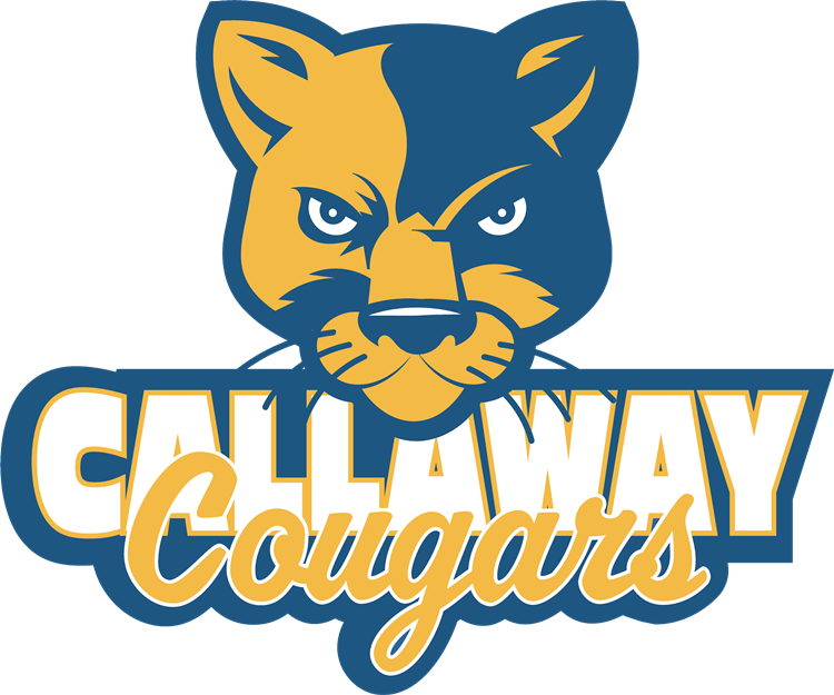 Official seal for Bay District Schools